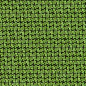 Evergreen 299-033