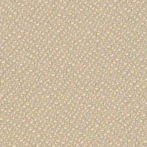 Pumice 298-017