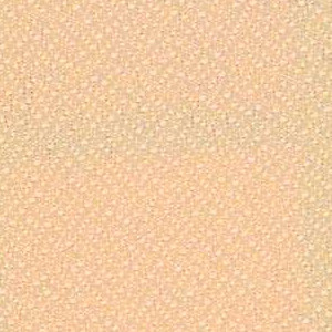 Sable 298-007