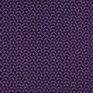 Dark Orchid 300-005