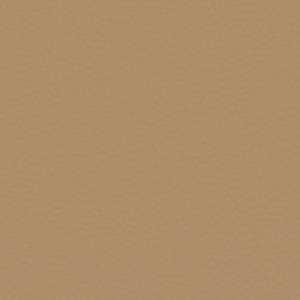 Brushed Tan
