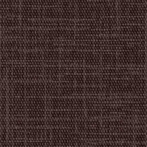 Raisin SC-008