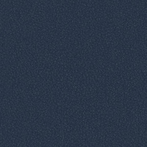 Midnight NO-004