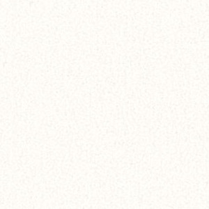 Summer White NO-017