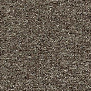 Bark
