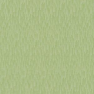 Lime 462-003