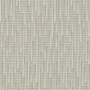 Abalone 462-006