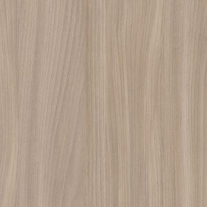 Buff Elm5793 NG