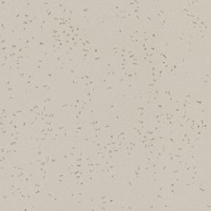 Limed Concrete 608