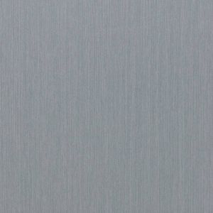 Stainless w/ Rio Texture (GI)