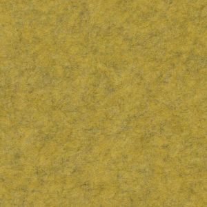 Mustard 900x900