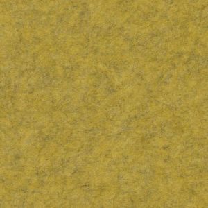 Mustard 900x900