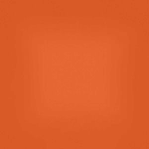 T23 oriole