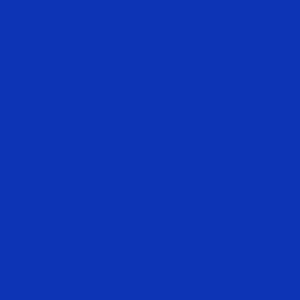 T27 Blue Wren